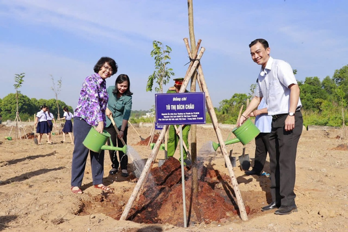 Không có dữ liệu